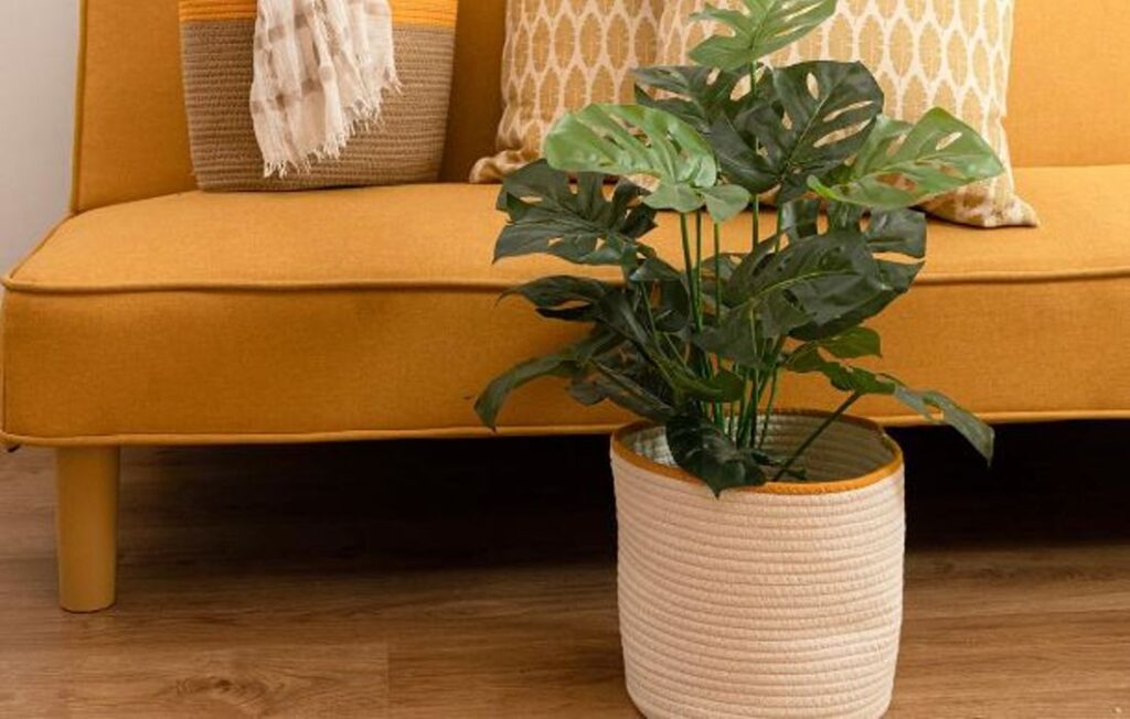 Con un diseño duradero y moderno, este macetero de algodón y poliéster es la base perfecta para tus plantas.