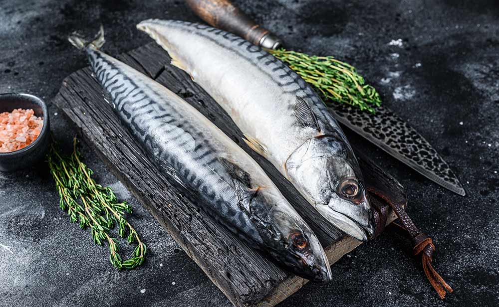 Receta del Chef del Mar: Caballa en tomate