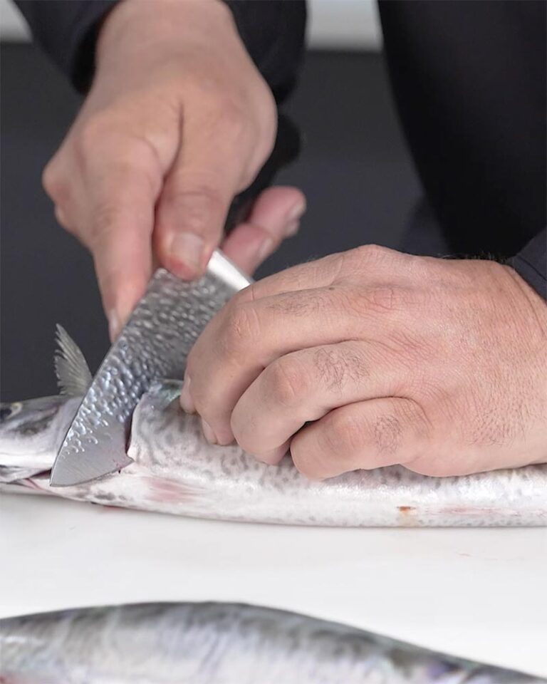 Preparación de la caballa en tomate