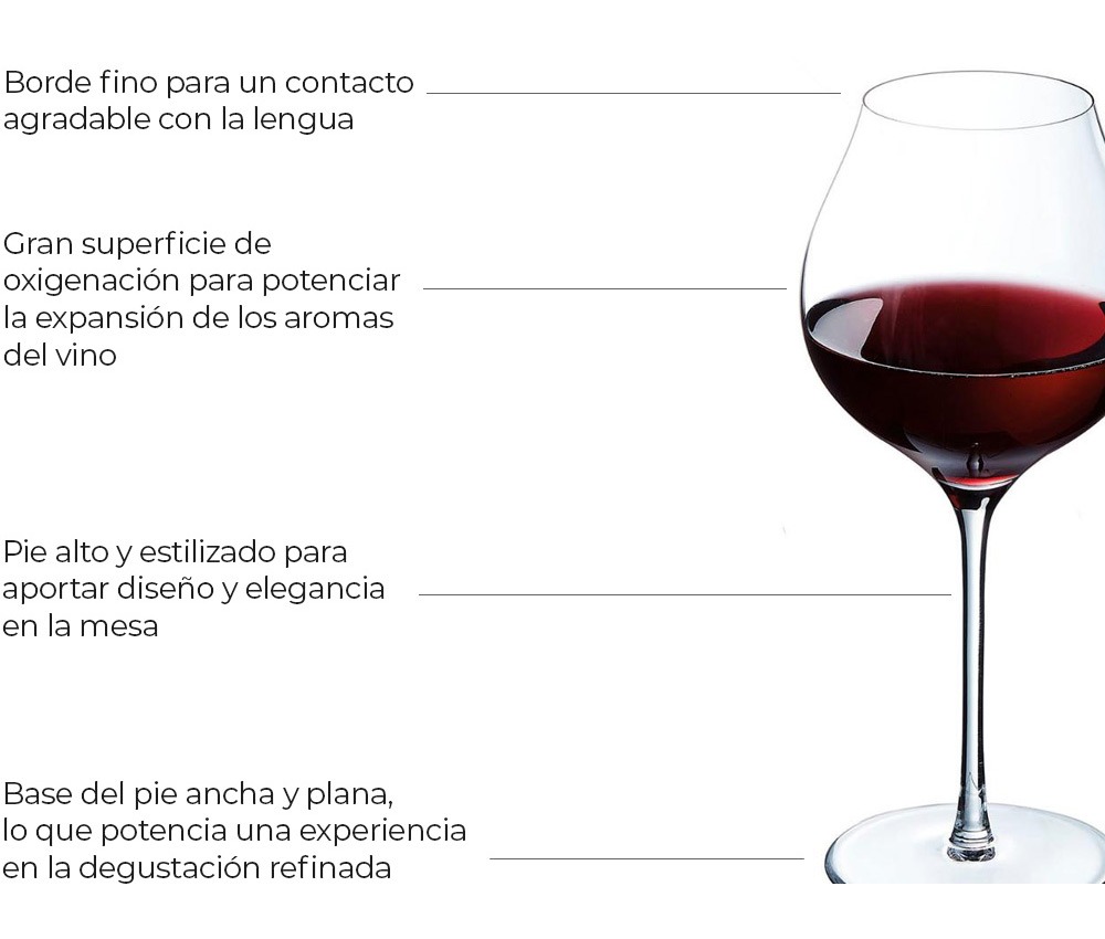 Características de una buena copa de vino