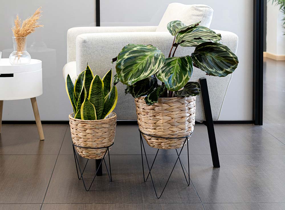 Decoración de hogar low cost: ideas fáciles