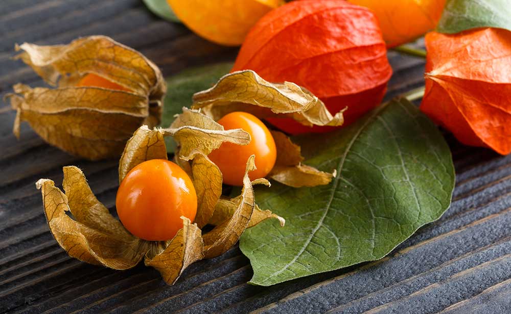 Flan de coco con nata y physalis: un postre irresistible