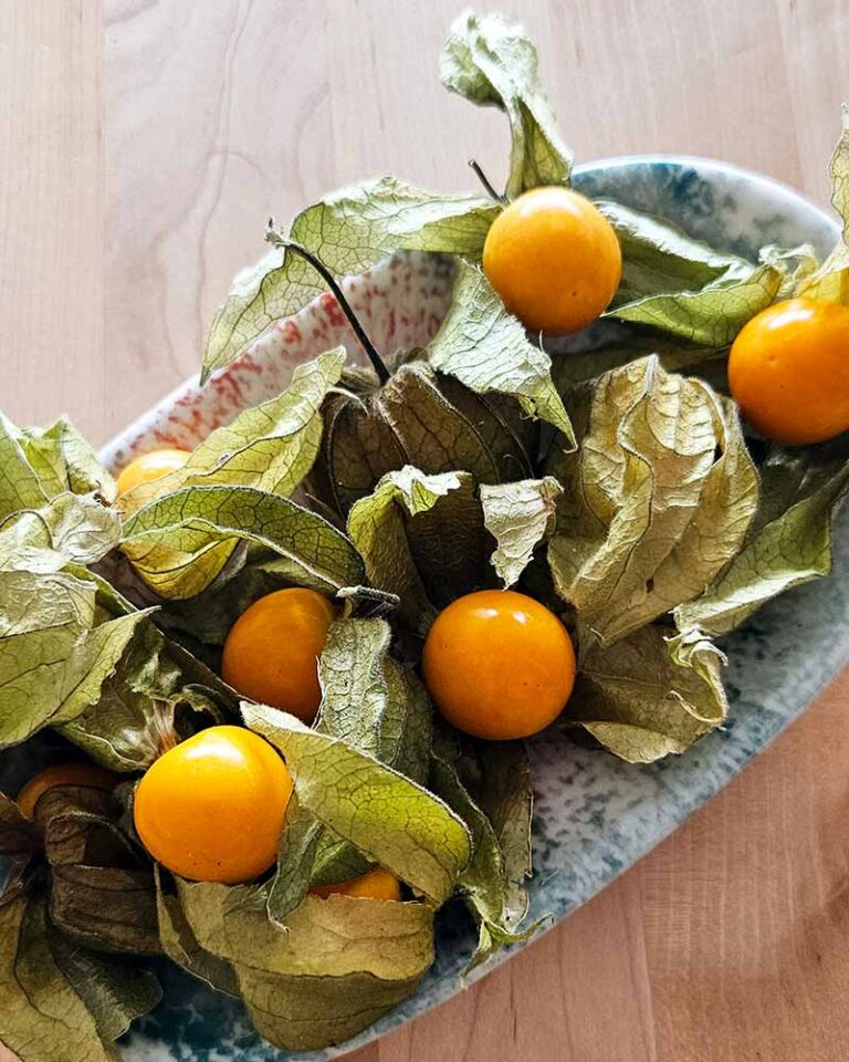 Flan de coco con nata y physalis: un postre irresistible