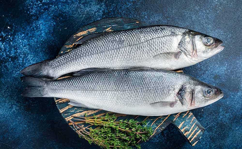 pescado blanco lubina