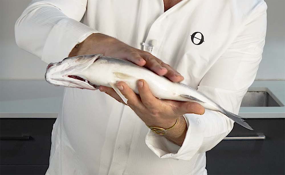 ¿Cómo saber si el pescado es fresco? 4 claves del Chef del Mar