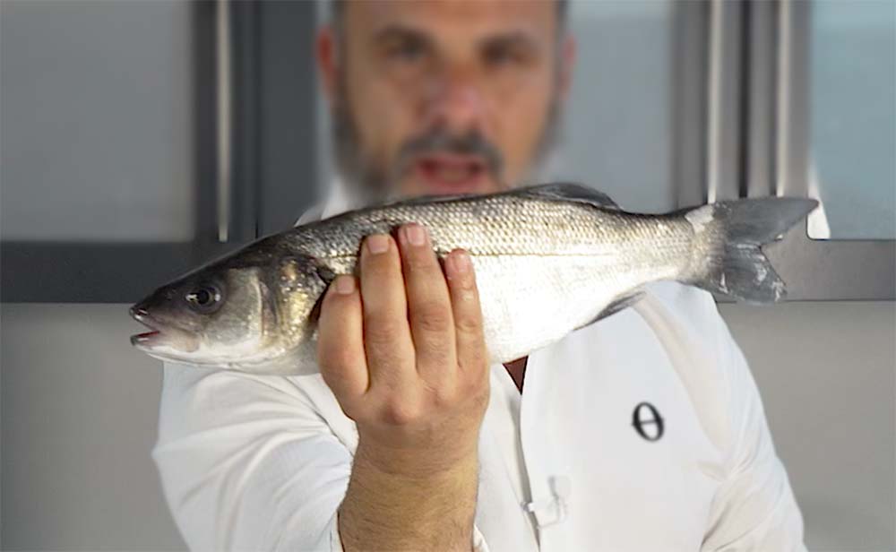 ¿Cómo saber si el pescado es fresco? 4 claves del Chef del Mar