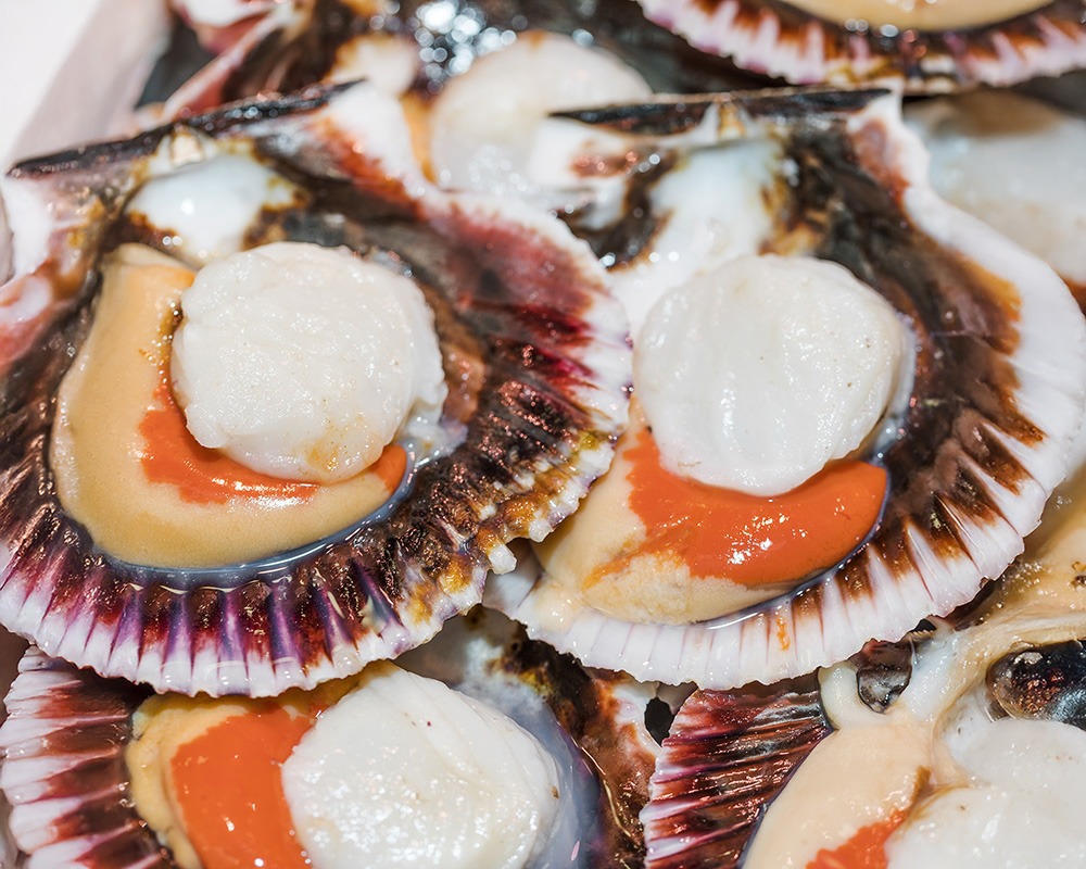 Vieiras gratinadas en airfryer doradas servidas en su concha como receta navideña fácil en freidora de aire