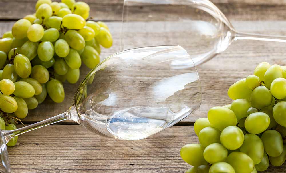 Catar vino blanco de uva Riesling